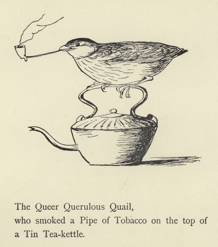 La strana quaglia querula da Edward Lear