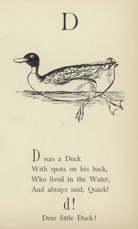 La lettera D da Edward Lear