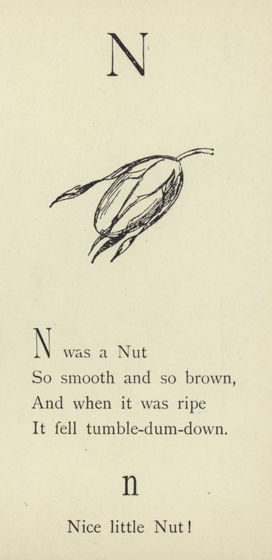 La lettera N da Edward Lear