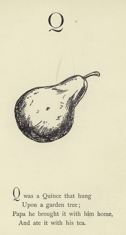 La lettera Q da Edward Lear