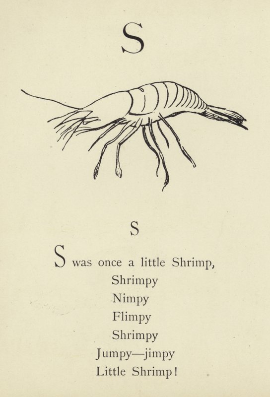 La lettera S da Edward Lear