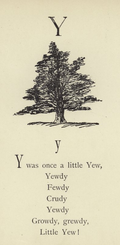 La lettera Y da Edward Lear