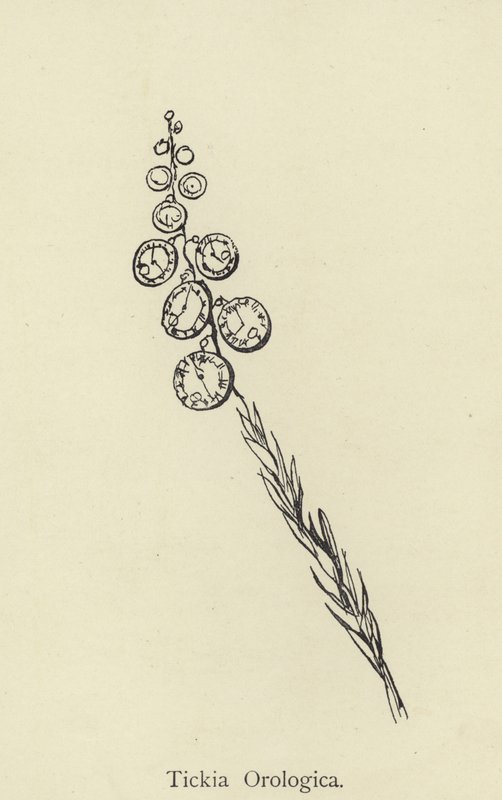 Tickia Orologica da Edward Lear