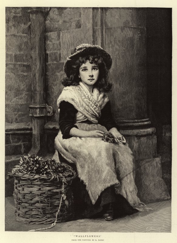Viola del pensiero da Edward Patry