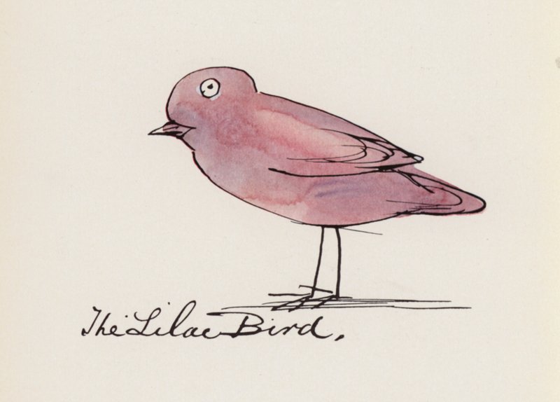 Edward Lear, Il Libro degli Uccelli: L