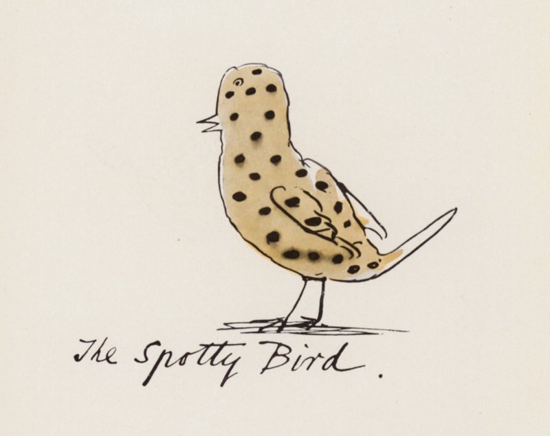 Edward Lear, Il Libro degli Uccelli: L