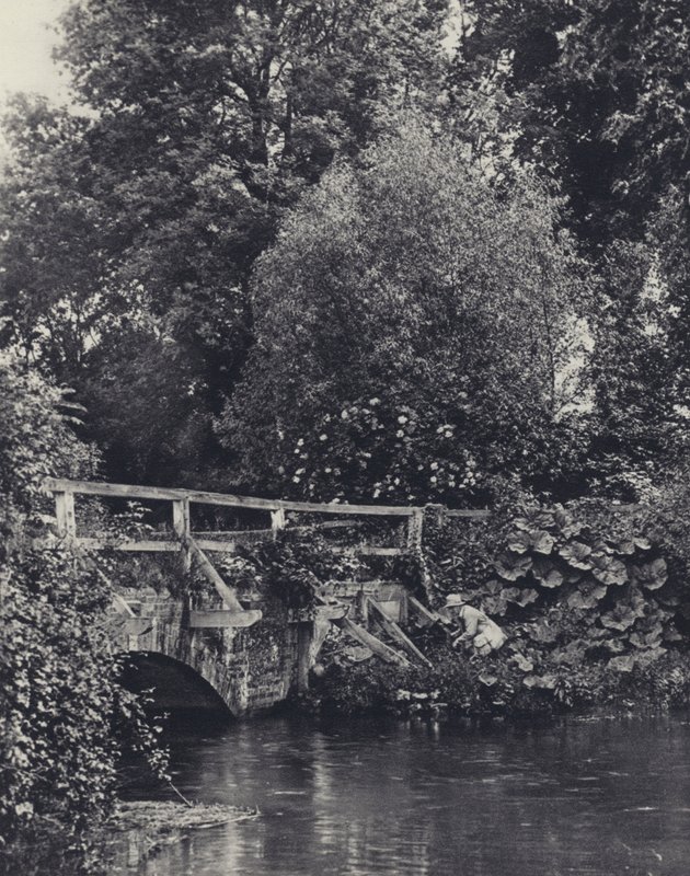Un lancio goffo da Edward Alfred Barton