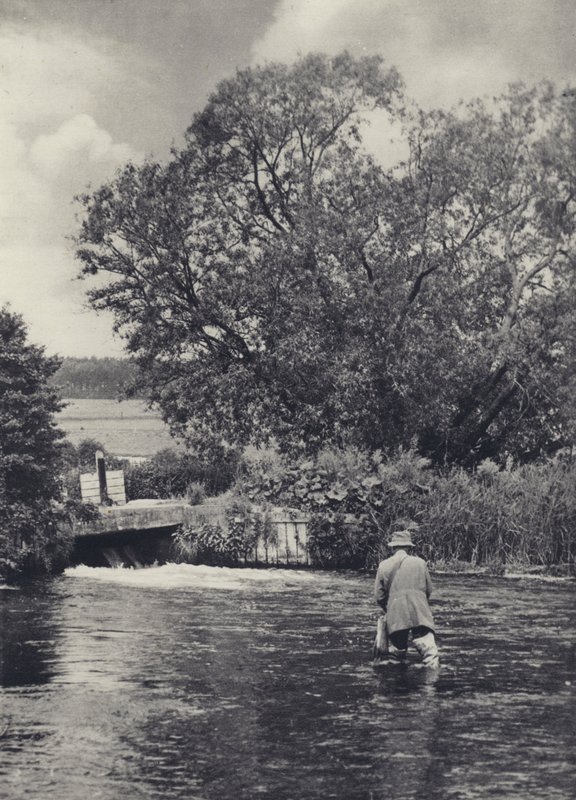 Sul Itchen sotto Winchester da Edward Alfred Barton