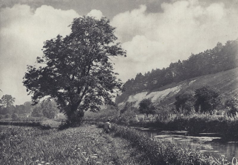 Il grande frassino sul trasportatore principale, Leckford da Edward Alfred Barton