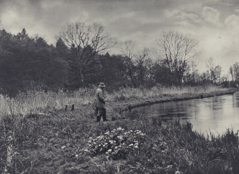 I primi ranuncoli di primavera da Edward Alfred Barton