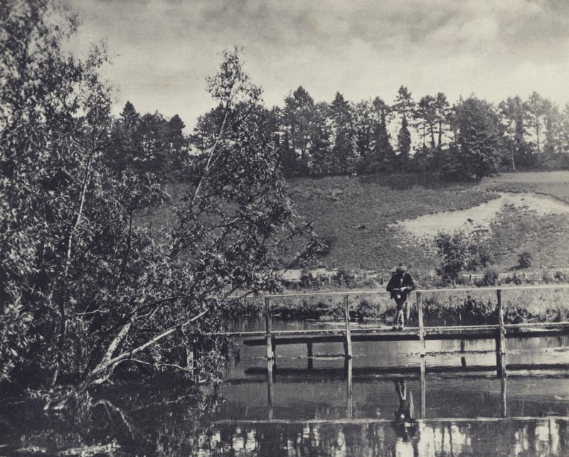 Tumbling Bay, Su un trasportatore del Test sotto Fullerton da Edward Alfred Barton