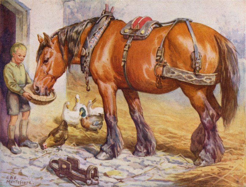Ragazzo che dà da mangiare a un cavallo in un cortile da Edward Brice Montefiore