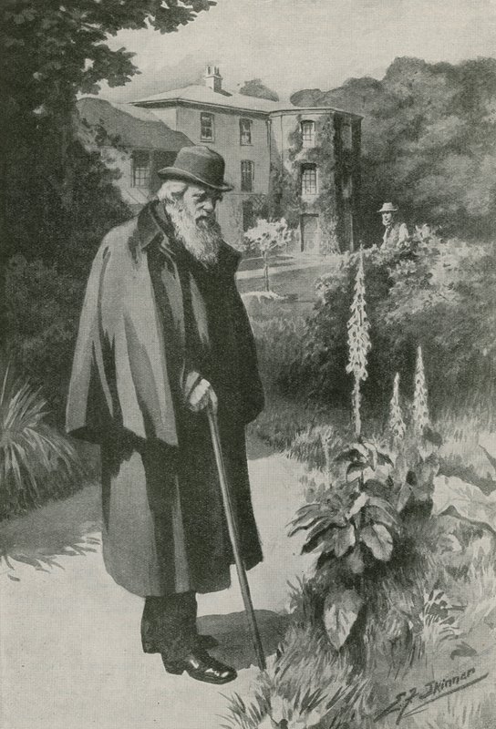 Charles Darwin nel suo giardino a Down House da Edward Frederick Skinner