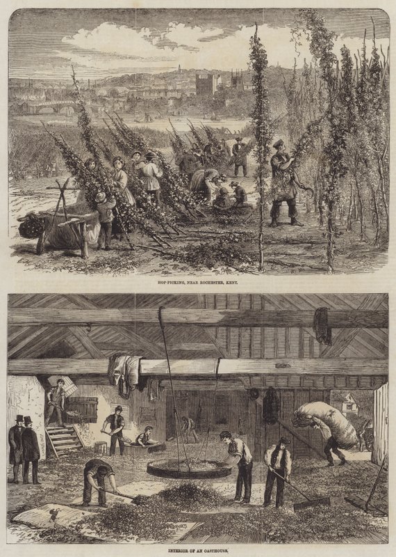 Raccolta del luppolo nel Kent da Edward Hull