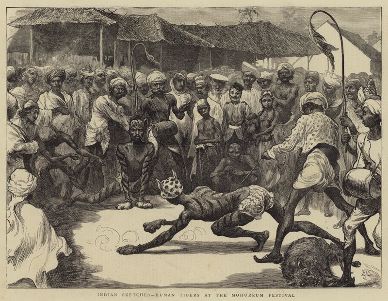 Schizzi Indiani, Tigri Umane al Festival di Mohurrum da Edward John Gregory