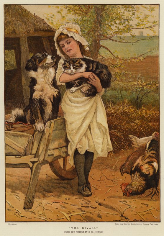 I rivali da Edward Killingworth Johnson