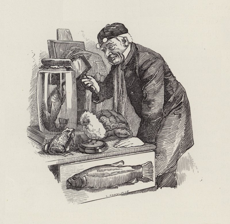 Illustrazione per The Water-Babies di Charles Kingsley da Edward Linley (after) Sambourne