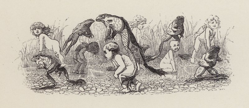 Illustrazione per The Water-Babies di Charles Kingsley (incisione) da Edward Linley (after) Sambourne