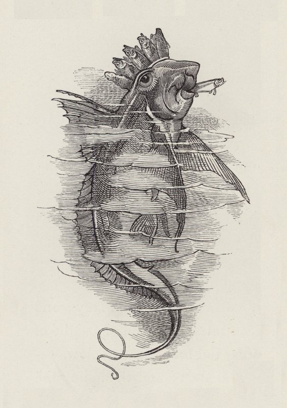 Illustrazione per The Water-Babies di Charles Kingsley da Edward Linley (after) Sambourne