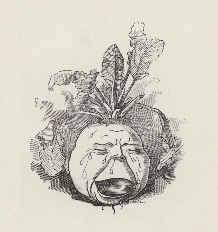 Illustrazione per The Water-Babies di Charles Kingsley da Edward Linley (after) Sambourne