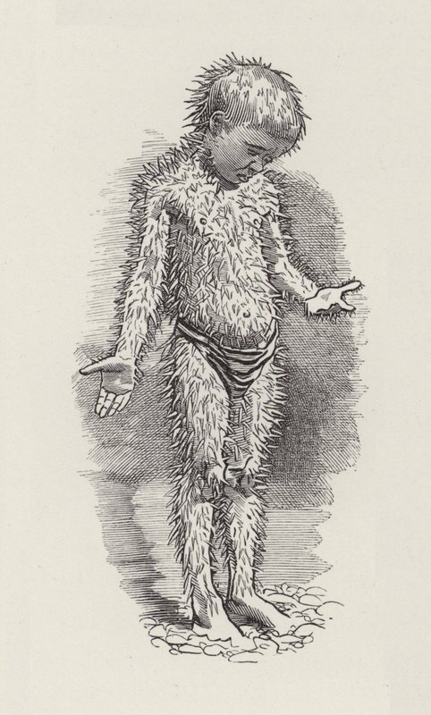 Illustrazione per The Water-Babies di Charles Kingsley da Edward Linley (after) Sambourne