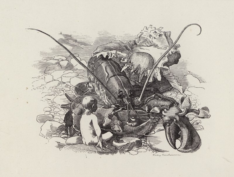 Illustrazione per The Water-Babies di Charles Kingsley da Edward Linley (after) Sambourne