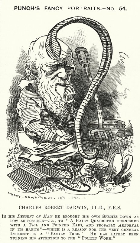 Charles Darwin, naturalista e biologo inglese (incisione) da Edward Linley (after) Sambourne