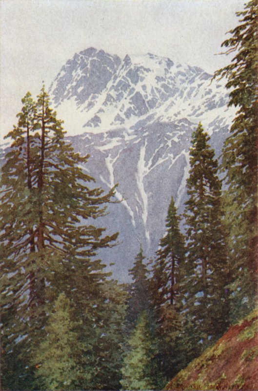 Kotwal dalla foresta sopra Kangan, Valle di Sind da Edward Mary Joseph Molyneux