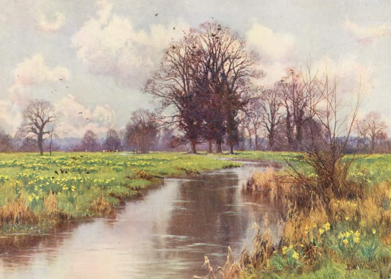 È libero dal peso, questo allegro piccolo fiume, e né sbarramento né mulino ostacolano il suo rapido cammino verso il mare da Edward Wilkins Waite