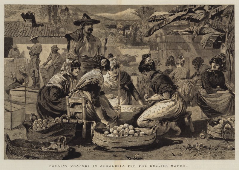 Imballaggio di arance in Andalusia per il mercato inglese da Edwin Buckman