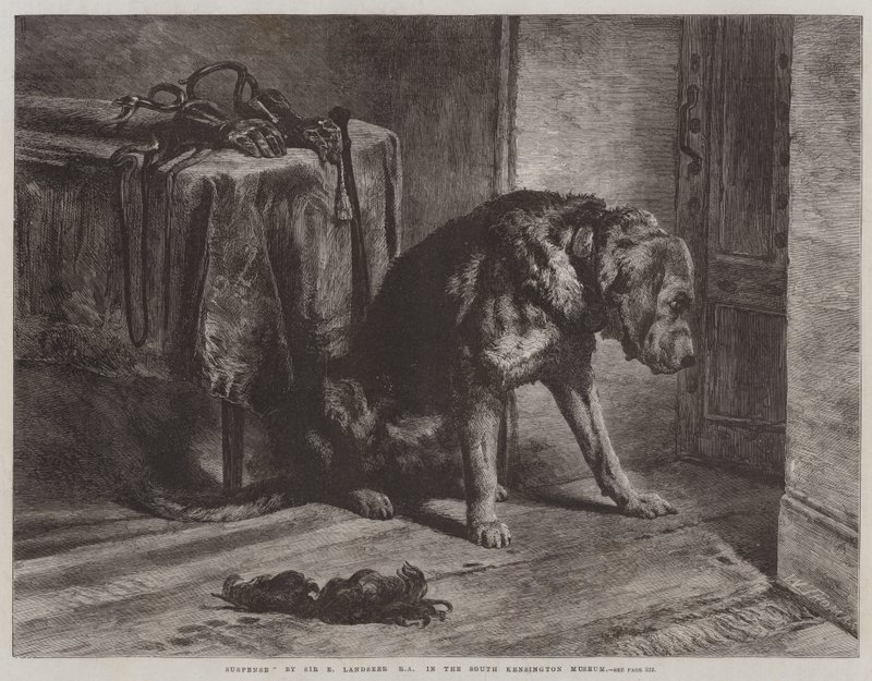 Suspense da Edwin Landseer
