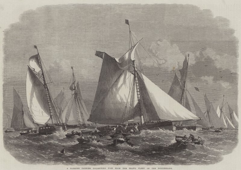 Un corriere che abbaia raccoglie pesce dalla flotta a strascico sul Doggerbank da Edwin Weedon