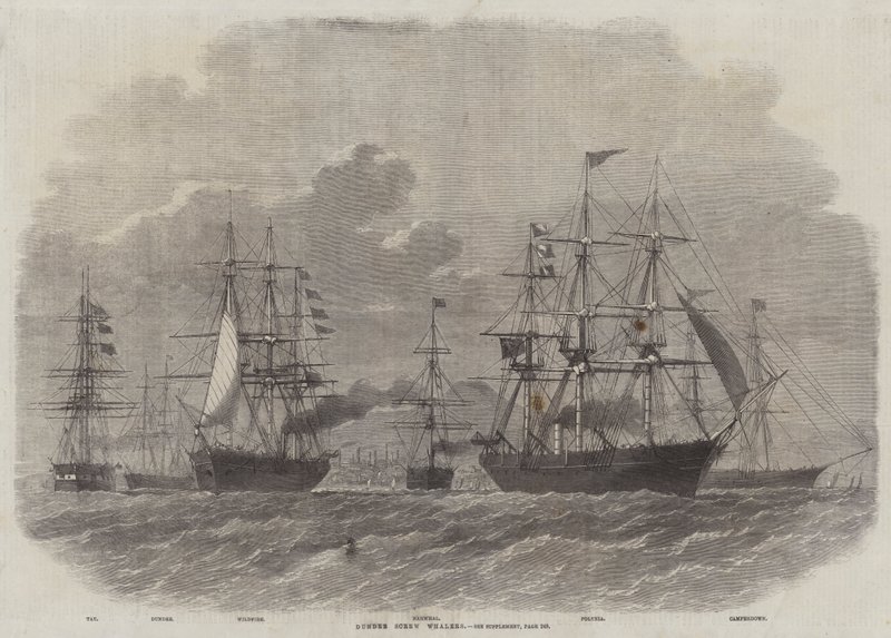 Baleniere a vite di Dundee da Edwin Weedon