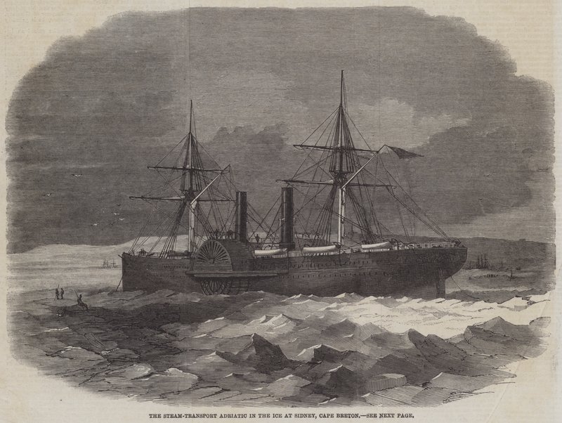 Il trasporto a vapore Adriatic nel ghiaccio a Sidney, Cape Breton da Edwin Weedon