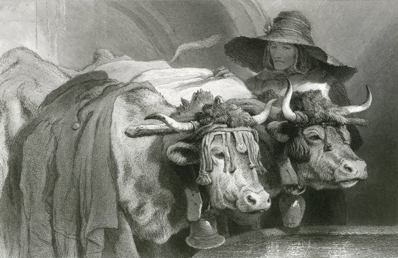 Buoi al serbatoio, Ginevra (incisione) da Edwin (after) Landseer