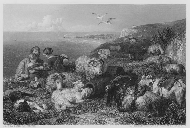 Pace, dal quadro nella Galleria Vernon da Edwin (after) Landseer