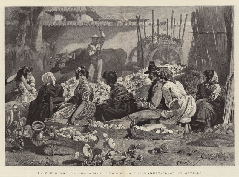 Nel soleggiato sud, confezionamento di arance nel mercato di Siviglia da Edwin Buckman