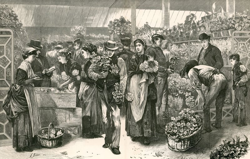 Il mercato dei fiori, Covent Garden, Londra da Edwin Buckman