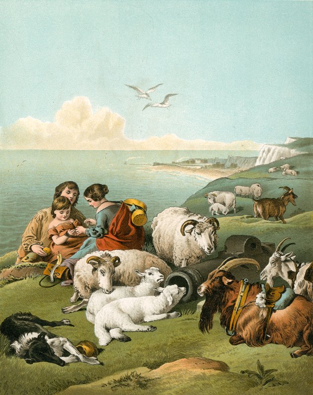 Bambini che giocano con pecore e capre su scogliere bianche da Edwin Landseer