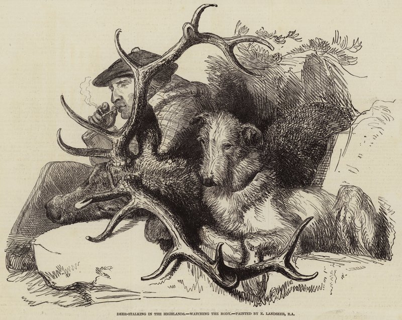 Caccia al cervo nelle Highlands, osservando il corpo da Edwin Landseer