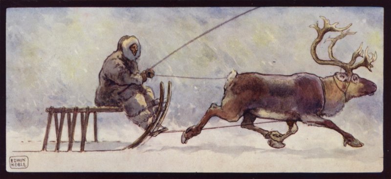 Un lappone e una slitta trainata da renne da Edwin Noble