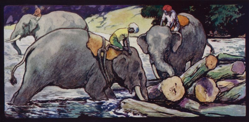 Elefanti che maneggiano tronchi nel fiume da Edwin Noble