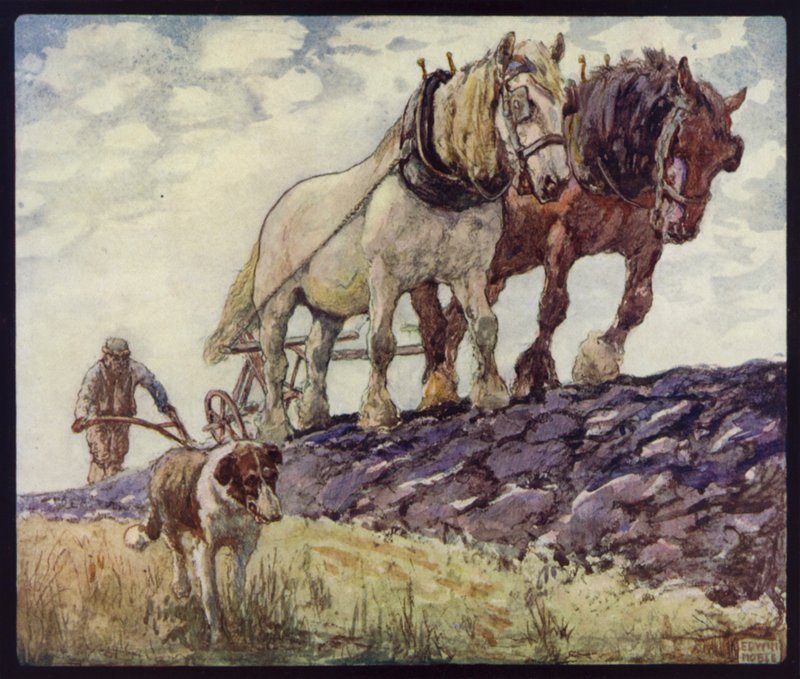 Cavalli da tiro inglesi che arano da Edwin Noble