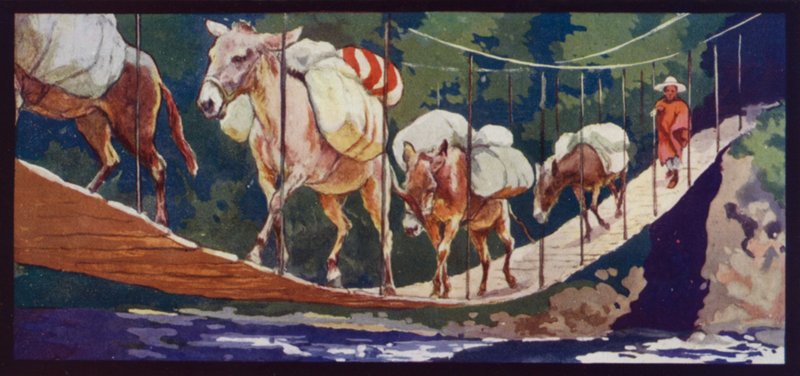 Muli che attraversano un ponte da Edwin Noble