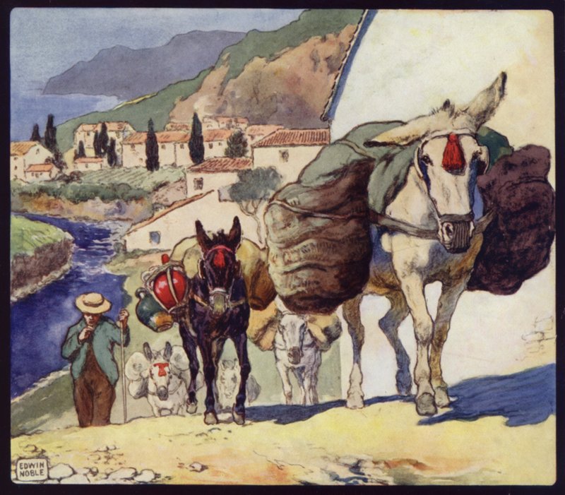 Muli su un passo spagnolo da Edwin Noble