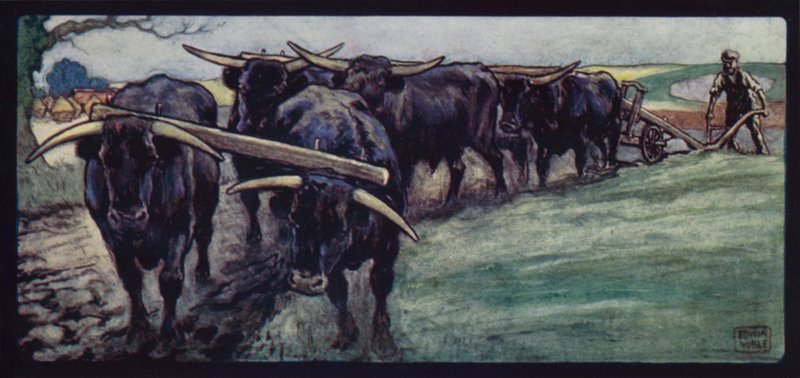 Buoi che Arano sulle Colline del Sussex da Edwin Noble