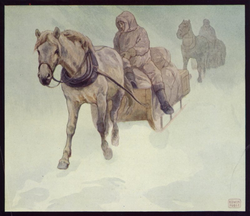 Pony Siberiani in Antartide da Edwin Noble