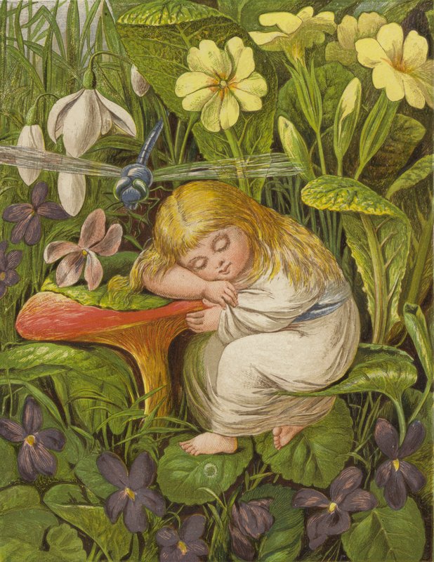 Ma era solo immerso in un sogno di delizia da Eleanor Fortescue Brickdale