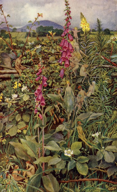 Ginevra da Eleanor Fortescue Brickdale