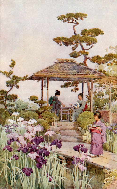 Un giardino di iris da Ella Du Cane